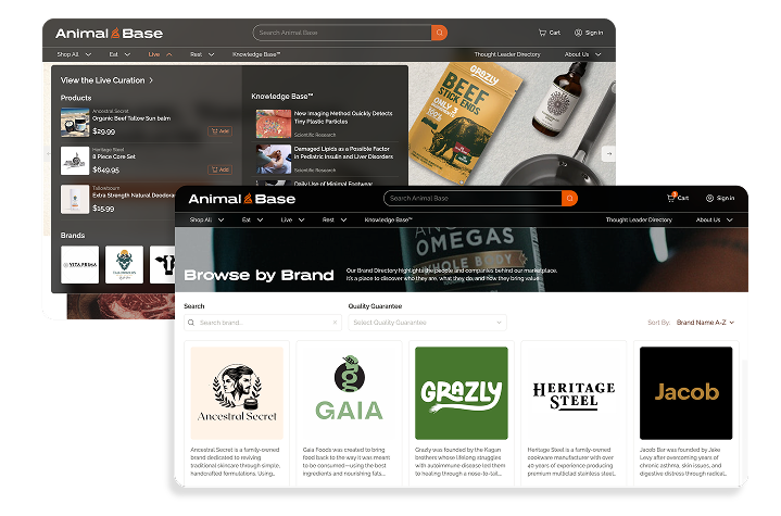 Animal Base brand and navigational UI